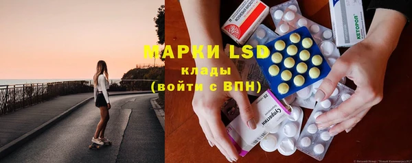 гидропоника Гусиноозёрск