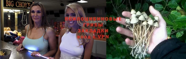 mix Надым