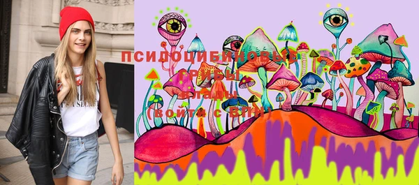 гидропоника Гусиноозёрск