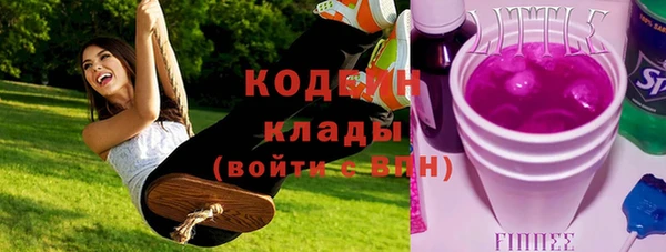 прущие крисы Горняк
