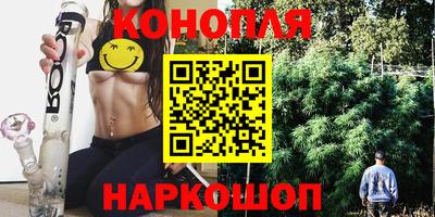 прущие грибы Балаково