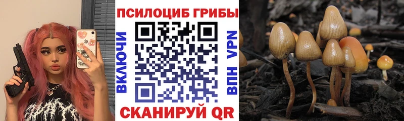Галлюциногенные грибы мицелий  Десногорск 