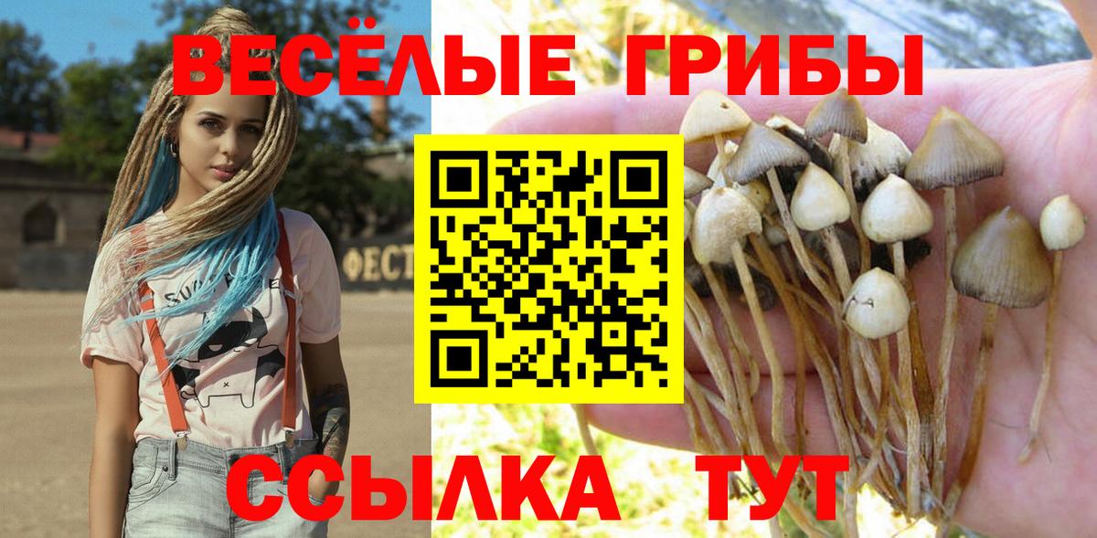 Галлюциногенные грибы ЛСД  Вход с VPN  Псилоцибиновые грибы прущие грибы  Десногорск 